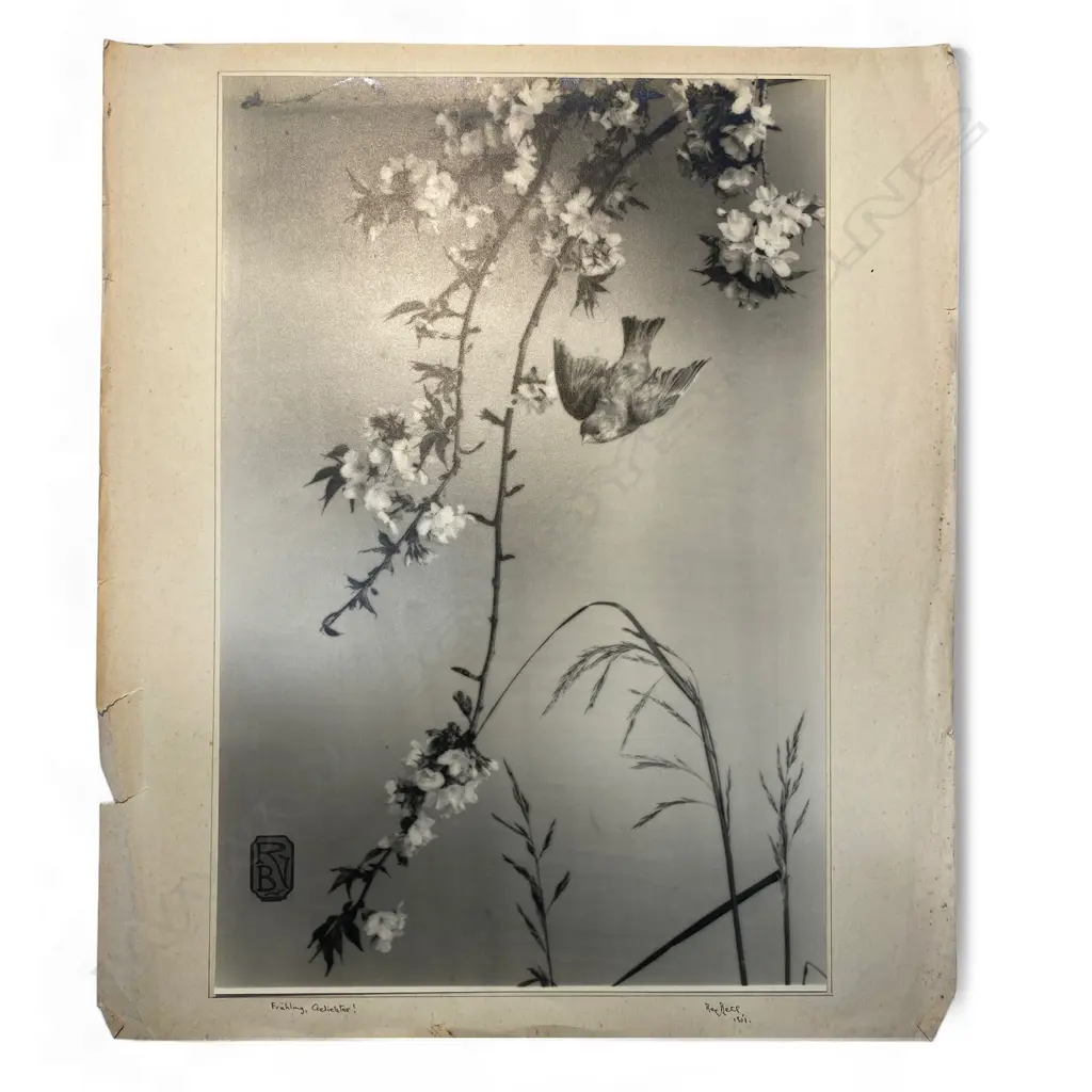 Reg P Bell 'Frühling Geliebter!', Image 1++